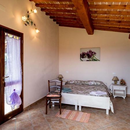 Agriturismo Il Canterino 瓜尔迪斯塔洛 外观 照片