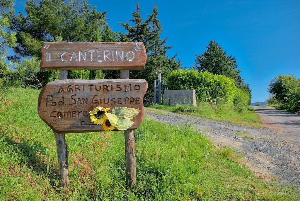 Agriturismo Il Canterino 瓜尔迪斯塔洛 外观 照片