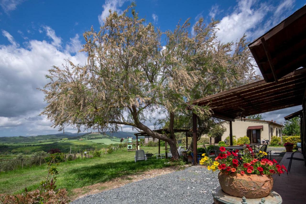 Agriturismo Il Canterino 瓜尔迪斯塔洛 外观 照片