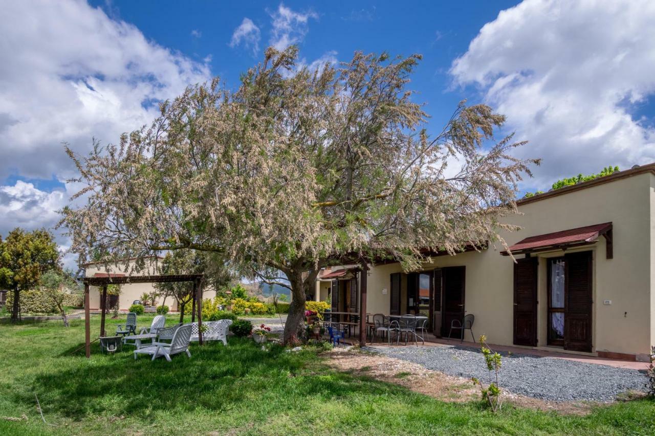 Agriturismo Il Canterino 瓜尔迪斯塔洛 外观 照片